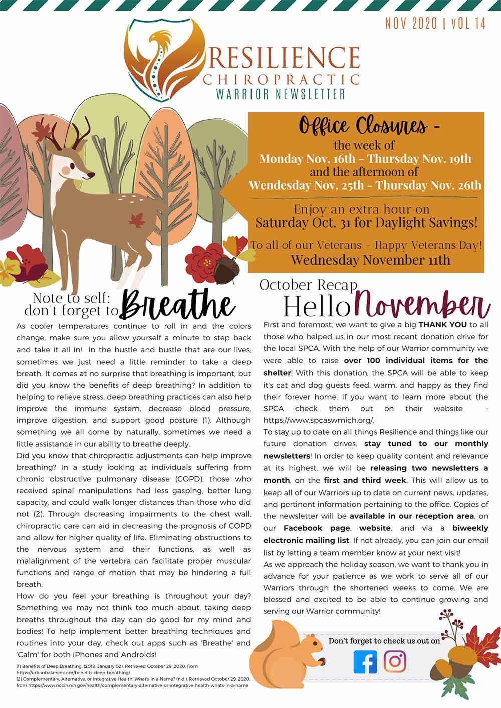 Chiropractic Kalamazoo MI Newsletter Nov 2020